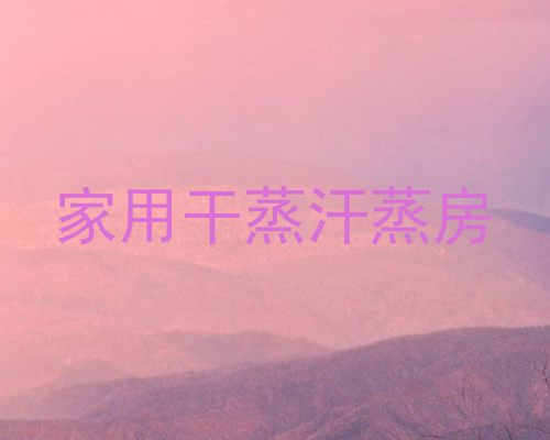 家用干蒸汗蒸房