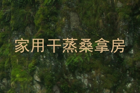 家用干蒸桑拿房