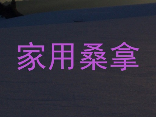 家用桑拿