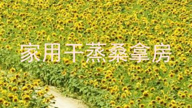 家用干蒸桑拿房
