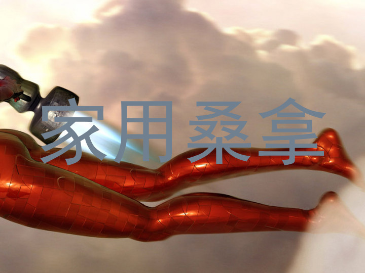 家用桑拿