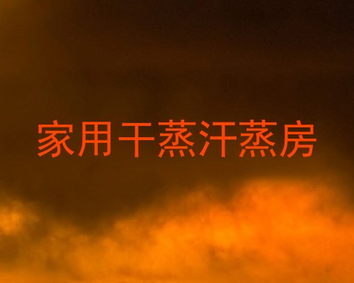 家用干蒸汗蒸房