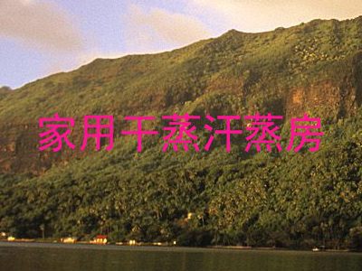 家用干蒸汗蒸房