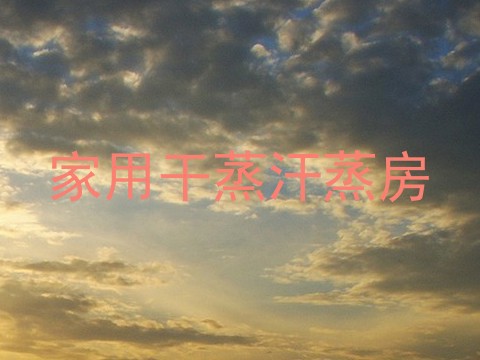 家用干蒸汗蒸房