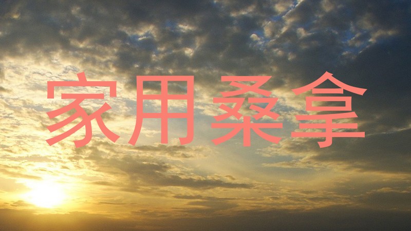 家用桑拿