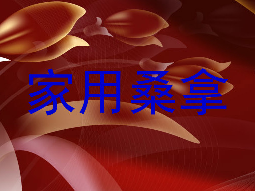 家用桑拿