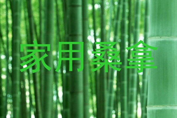 家用桑拿