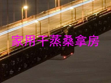 家用干蒸桑拿房