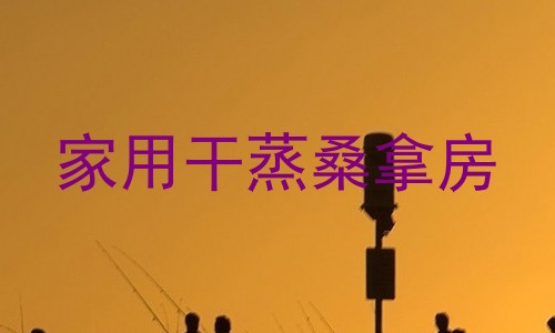 家用干蒸桑拿房