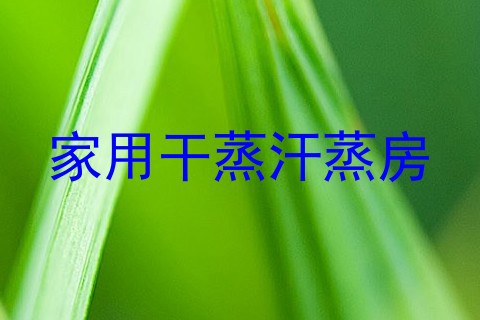 家用干蒸汗蒸房