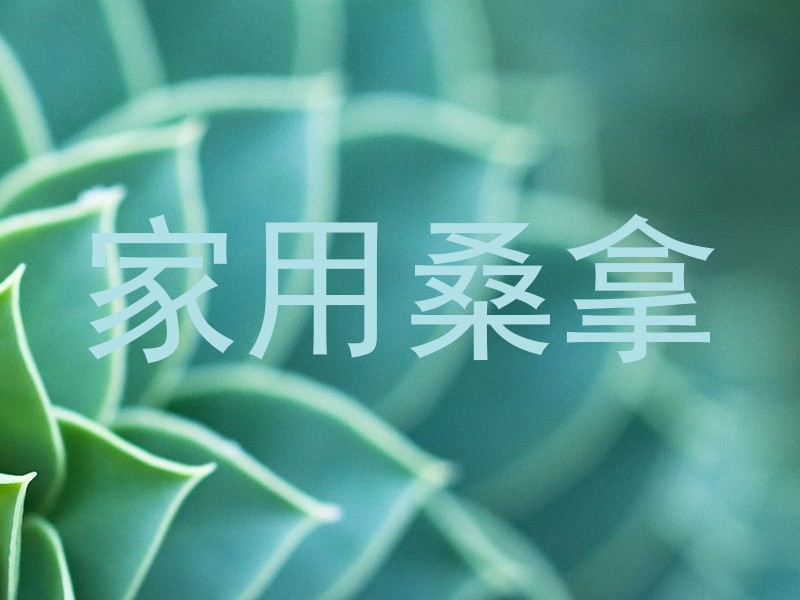 家用桑拿