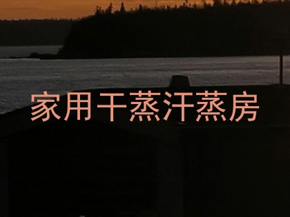 家用干蒸汗蒸房
