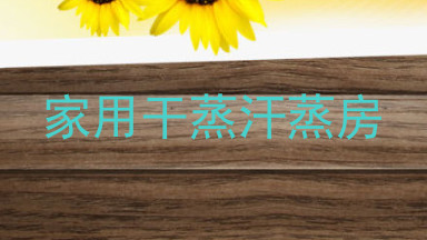 家用干蒸汗蒸房