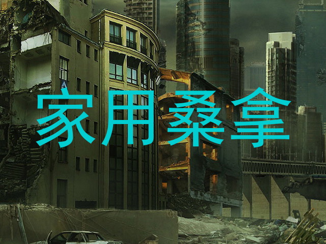 家用桑拿