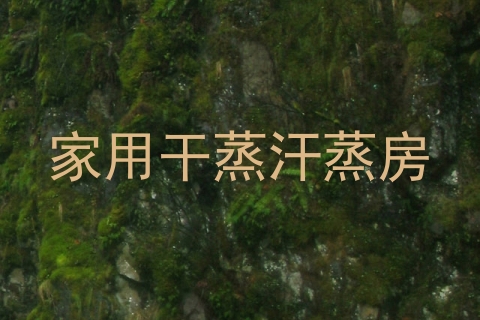 家用干蒸汗蒸房