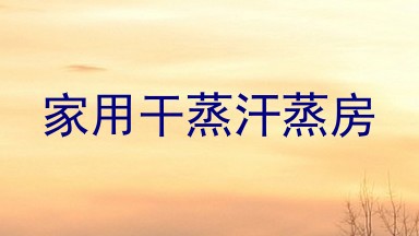 家用干蒸汗蒸房