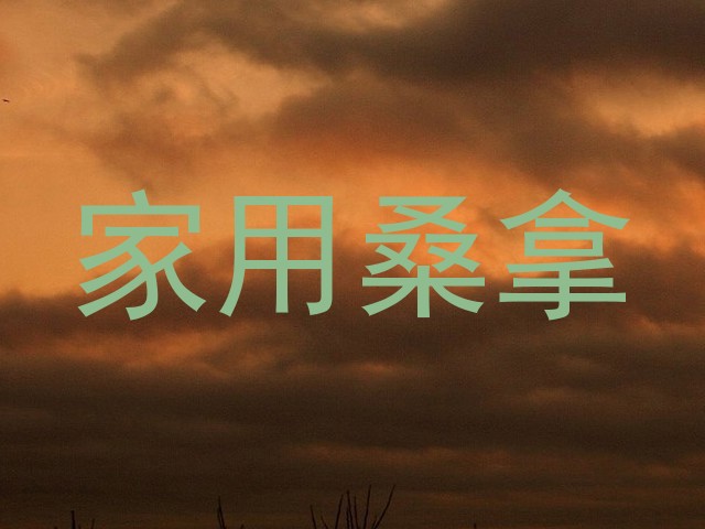 家用桑拿