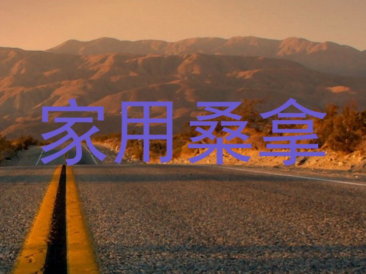 家用桑拿