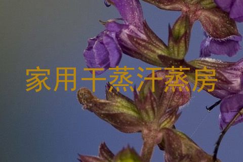 家用干蒸汗蒸房