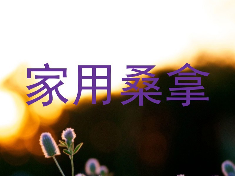 家用桑拿