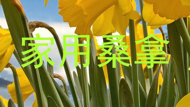 家用桑拿