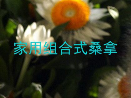 家用组合式桑拿