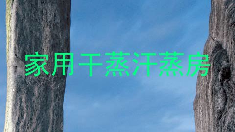 家用干蒸汗蒸房