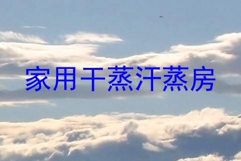 家用干蒸汗蒸房