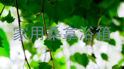 家用桑拿浴箱