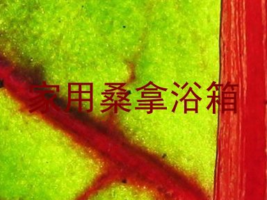 家用桑拿浴箱