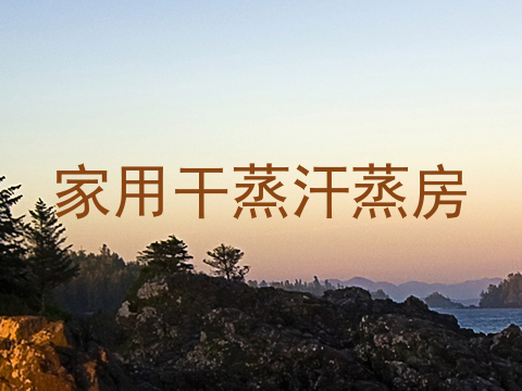 家用干蒸汗蒸房