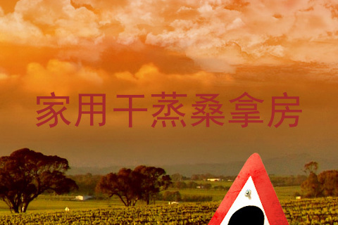 家用干蒸桑拿房