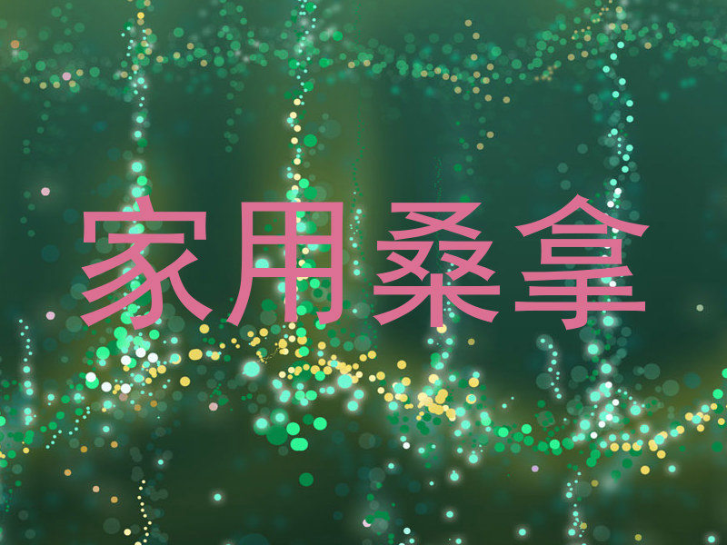 家用桑拿