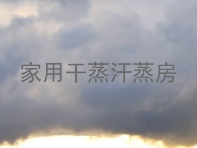 家用干蒸汗蒸房