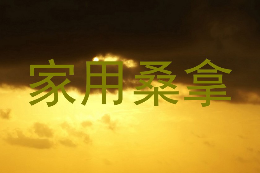 家用桑拿