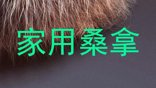 家用桑拿