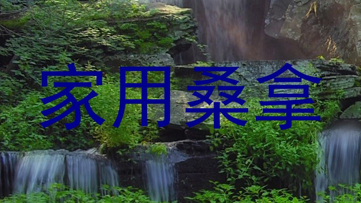 家用桑拿