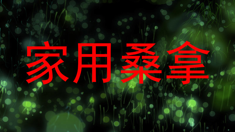 家用桑拿