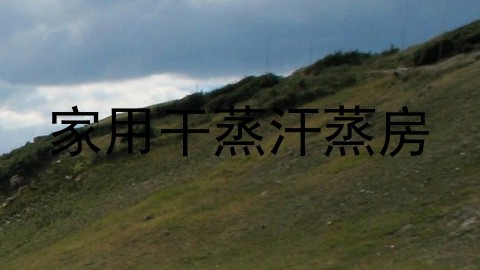 家用干蒸汗蒸房