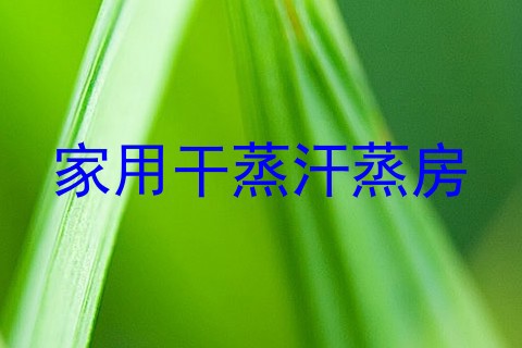 家用干蒸汗蒸房