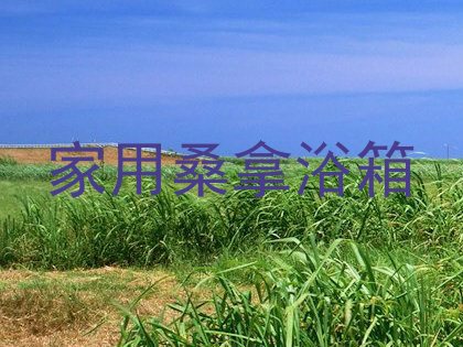家用桑拿浴箱
