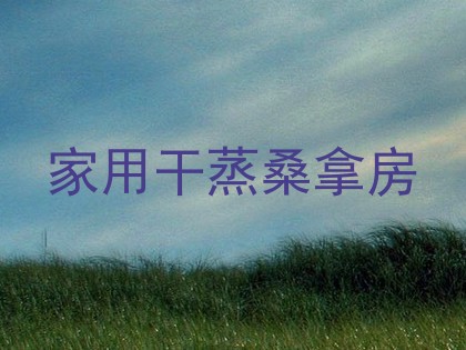 家用干蒸桑拿房