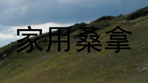 家用桑拿