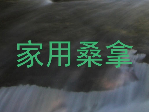 家用桑拿