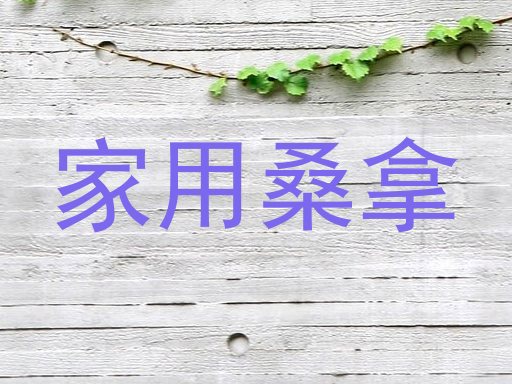 家用桑拿