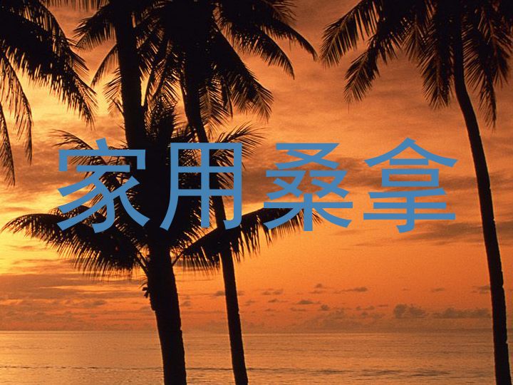 家用桑拿