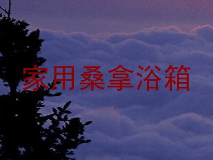 家用桑拿浴箱