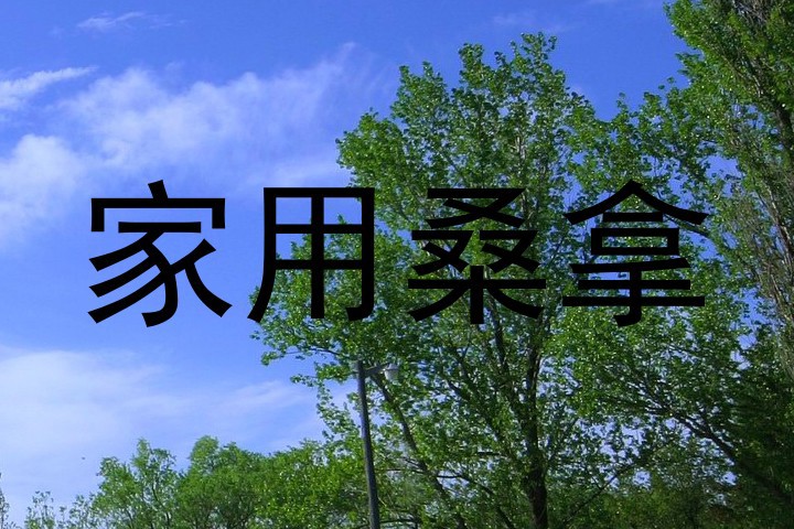 家用桑拿