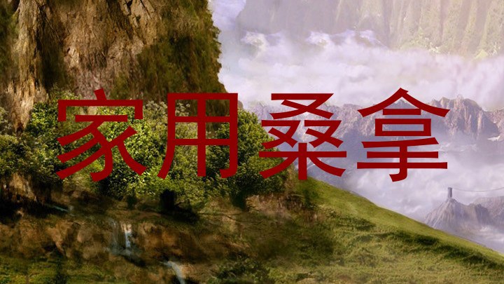 家用桑拿
