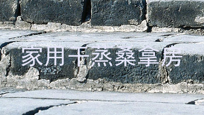家用干蒸桑拿房